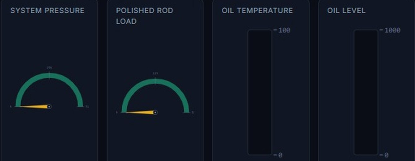 Instrument gauges of the Neolift control system