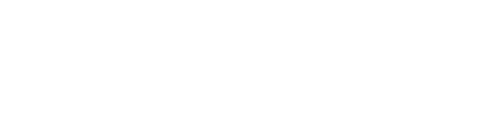 neolift